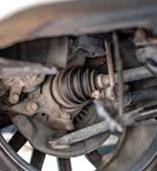 Rotating Shafts and Bearings